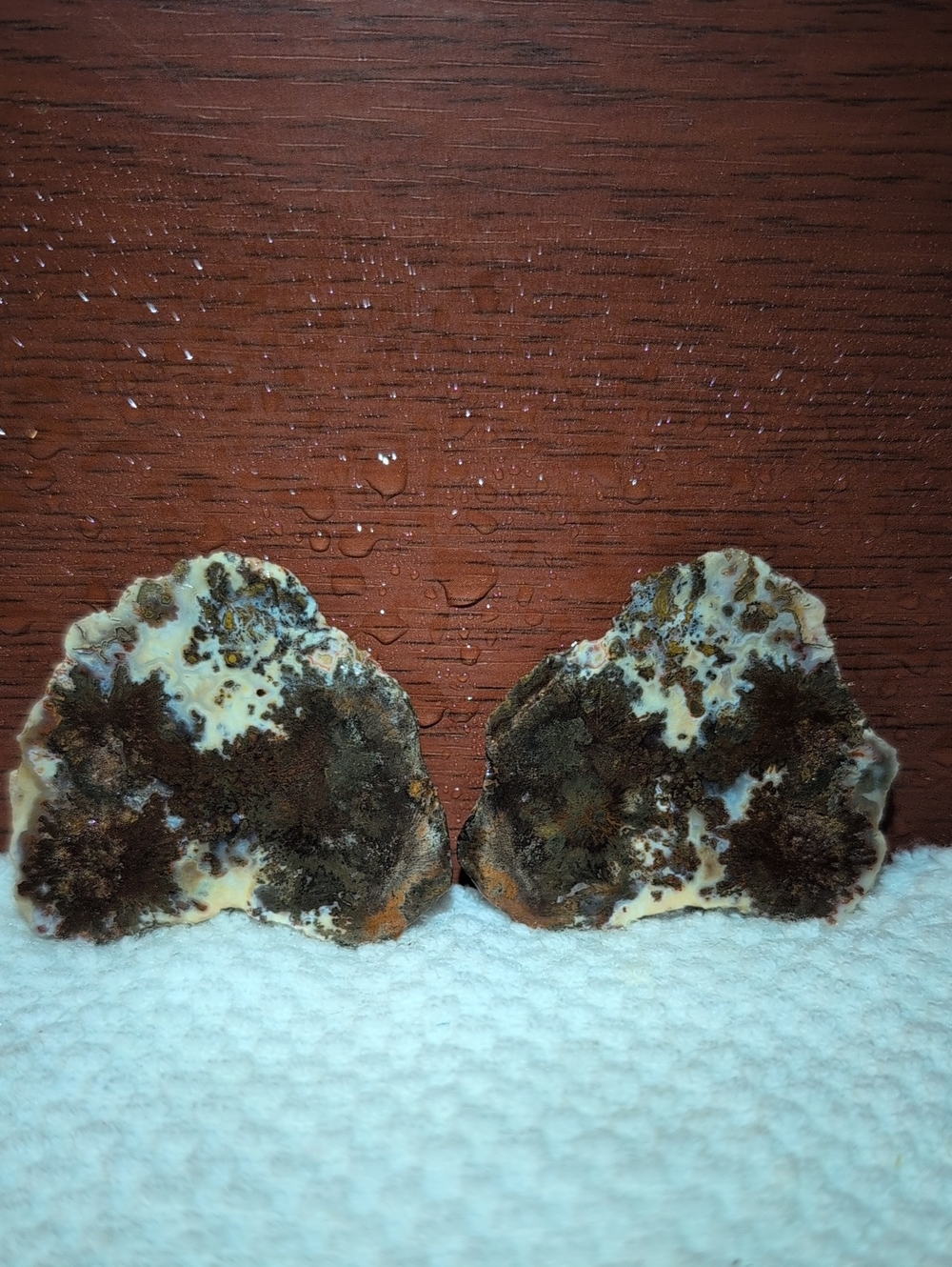 Agate #57